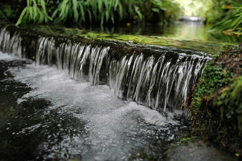 Water flowing through a wooded area on a cold day along the Wild Atlantic way