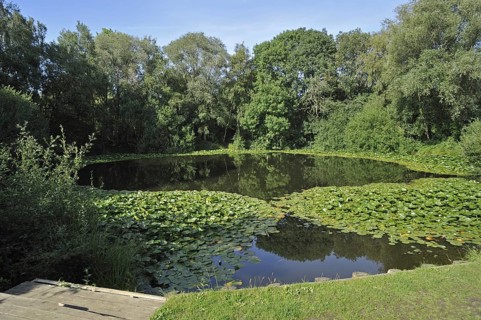 The mine crater Pool of Peace