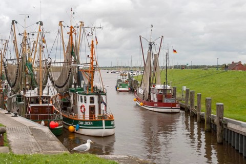 Crab cutter in Greetsiel harbour