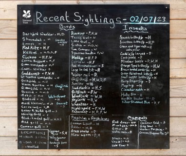 Recent bird and wildlife sightings litsed on blackboard
