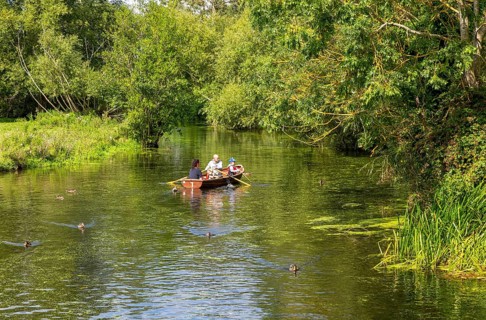 People rowing on River Stour