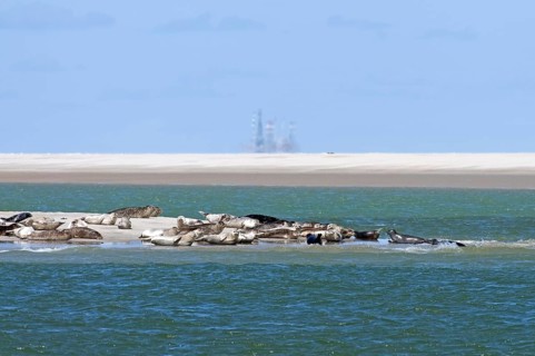 Harbour