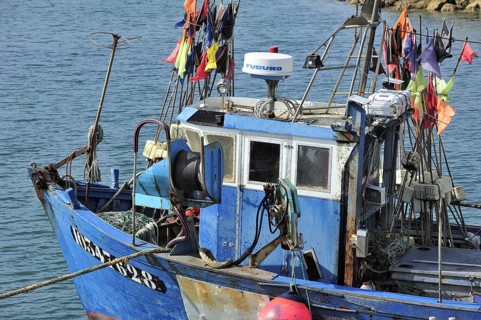 Fishing boat in the harbour at Saint-Denis-d'Oleron on the island Ile d'Oleron