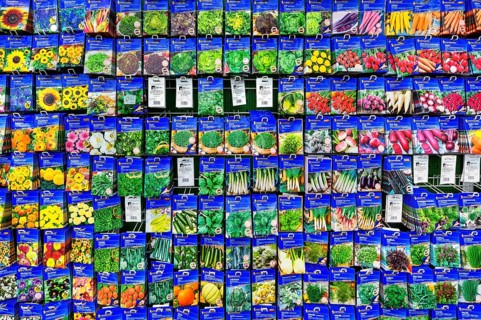 Bag of flower seeds in a garden centre