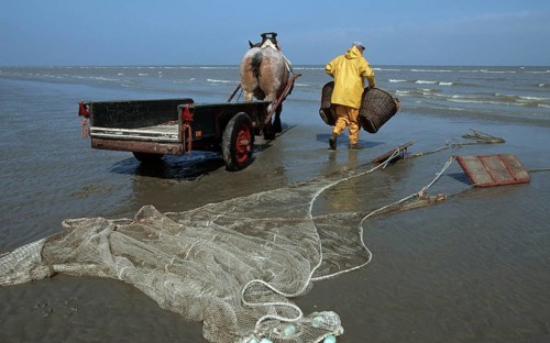 Shrimp trawler