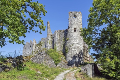 Chateau de Montaigle in summer
