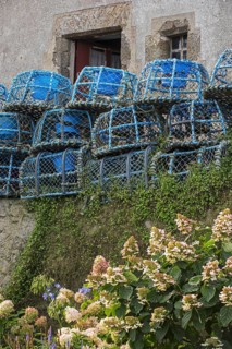 Blue lobster traps