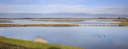 The Nature reserve Schouwen-Duiveland