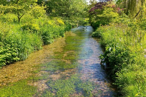 Chalk stream River Avon