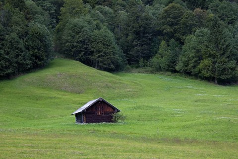 Wooden hut