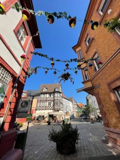 Half-timbered houses