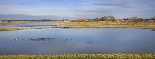 The Nature reserve Schouwen-Duiveland