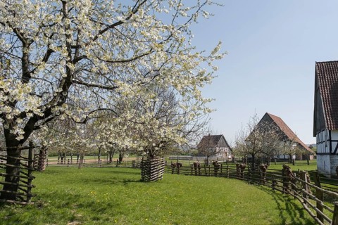 Westphalian Regional Museum of Folklore
