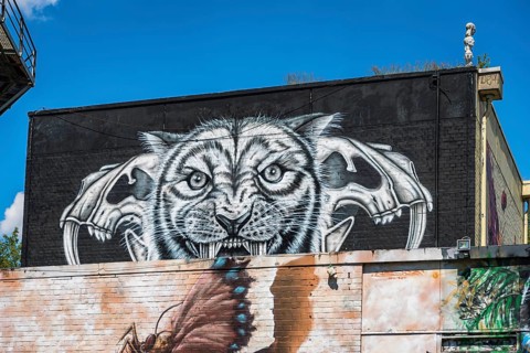 Graffiti on Teufelsberg