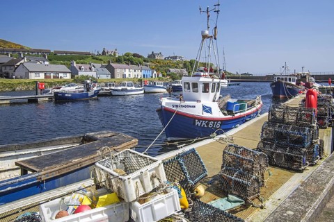 Stacked lobster creels