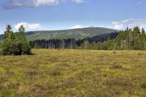 Raised bog at Grosses Torfhausmoor