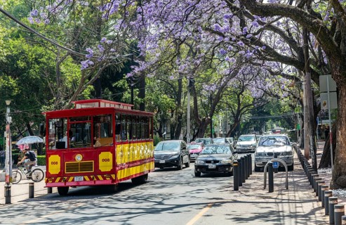 Tranvia Turistico historic tourist tram vehicle
