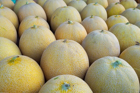 Cantaloupe melons
