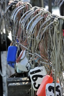 Row of anchors hanging from jetty in the harbour of Yerseke along the Oosterschelde