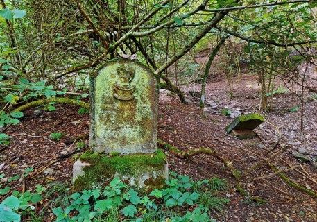 Monument zone Old Jewish cemetery in the forest