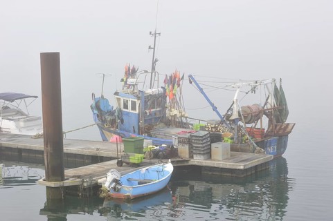 Fishing boat in thick fog in the harbour at Saint-Denis-d'Oleron on the island Ile d'Oleron