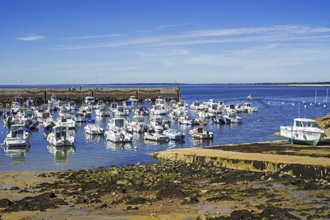 Jetty and motor boats in the port