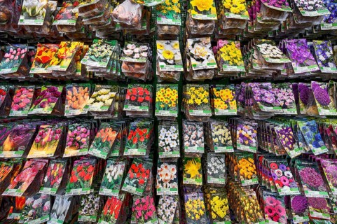 Bag of flower seeds in a garden centre