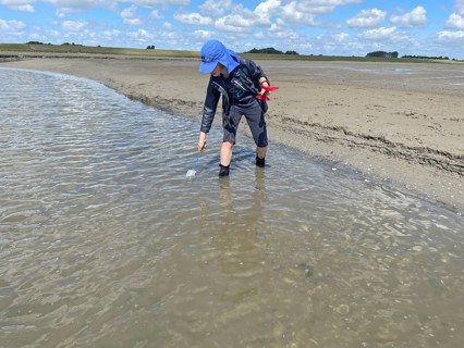 Mudflat walk