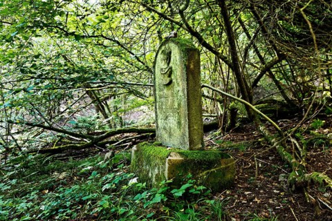 Monument zone Old Jewish cemetery in the forest