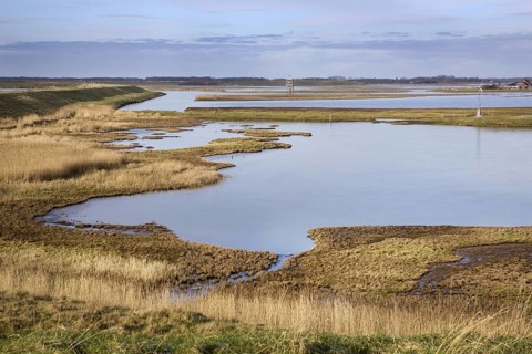 The nature reserve Schouwen-Duiveland