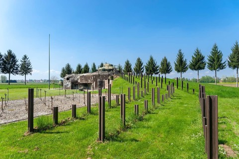 Reconstruction of the Esch casemate as part of the Maginot Line with barbed wire house
