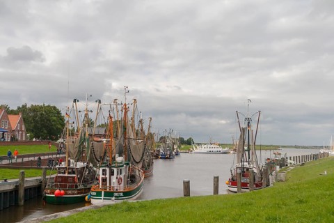 Crab cutter in Greetsiel harbour