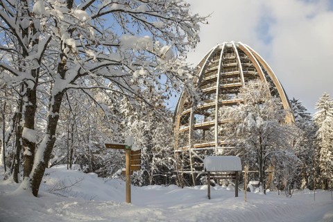 Baumwipfelpfad in winter