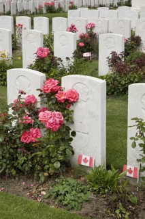Tyne Cot Cemetery