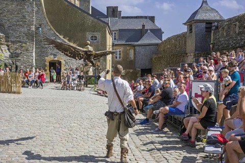 Tourists watching falconry