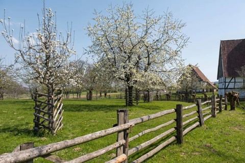 Westphalian Regional Museum of Folklore