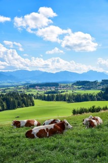 View from the Auerberg near Bernbeuern to the Allgaeu mountains near Fuessen