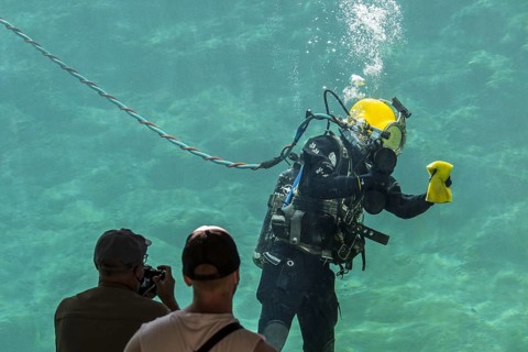 Visitors watching surface-supplied diver equipped with umbilical cleaning glass on inside of huge water tank