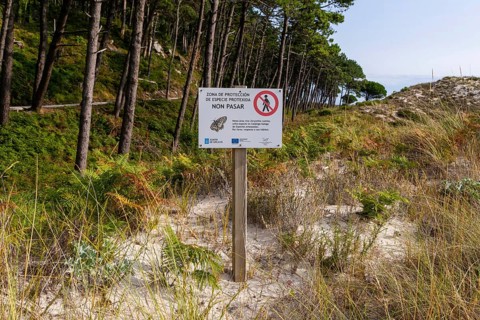 Sign protected area