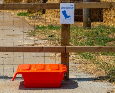Sign and bucket for foot dip at pig farm