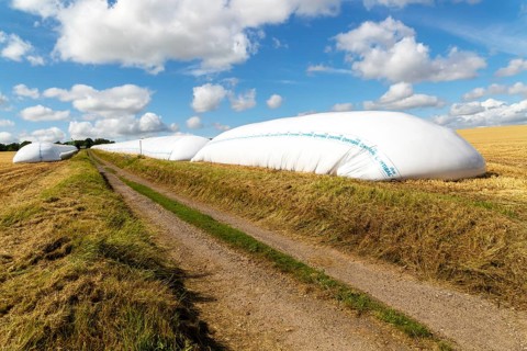HYTIBAG grain silo bags in cereal field