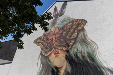 Portrait of a woman with pointed lips and butterfly in front of her face