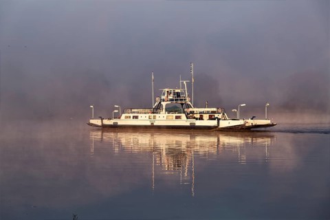 The Elbe ferry Tanja in the early morning mist between Darchau and Neudarchau on the Elbe in the UNESCO Biosphere Reserve Elbe River Landscape. Amt Neuhaus