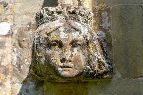 Weathered stonework moss and lichen growing on a queen's head
