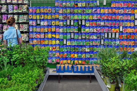 Bag of flower seeds in a garden centre
