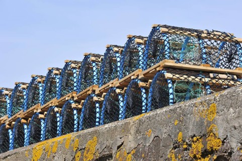 Stacked lobster traps