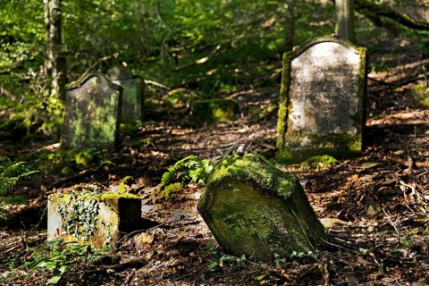 Monument zone Old Jewish cemetery in the forest