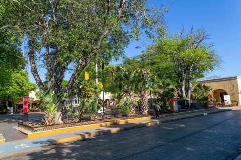 Trees in park square of Parque Santa Lucia