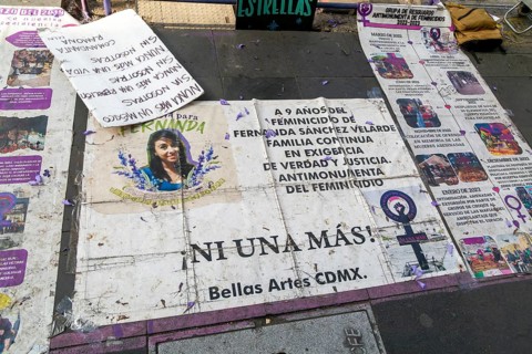 Protest banners demanding justice for Fernanda Sanchez Velarde femicide murder victim