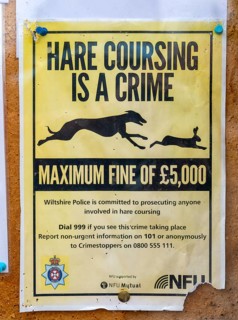 Hare Coursing is a Crime poster on village noticeboard